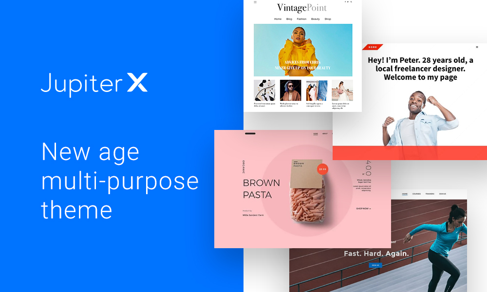 top wordpress themes