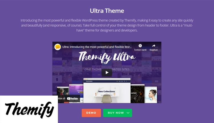 top wordpress themes