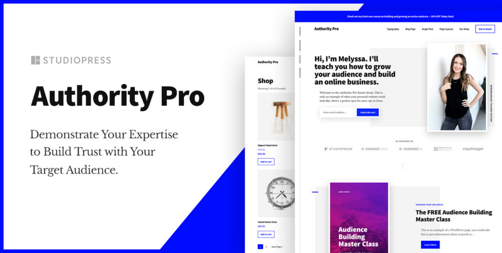 TOP WORDPRESS THEMES 2024