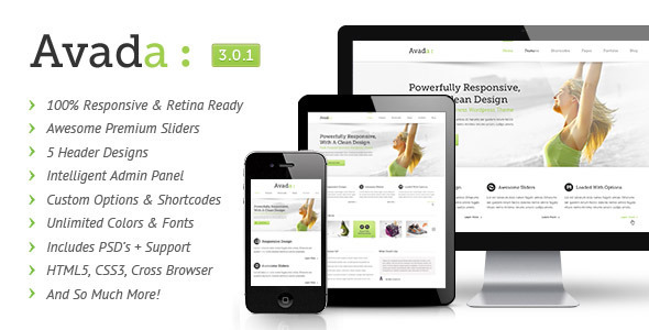 top wordpress themes